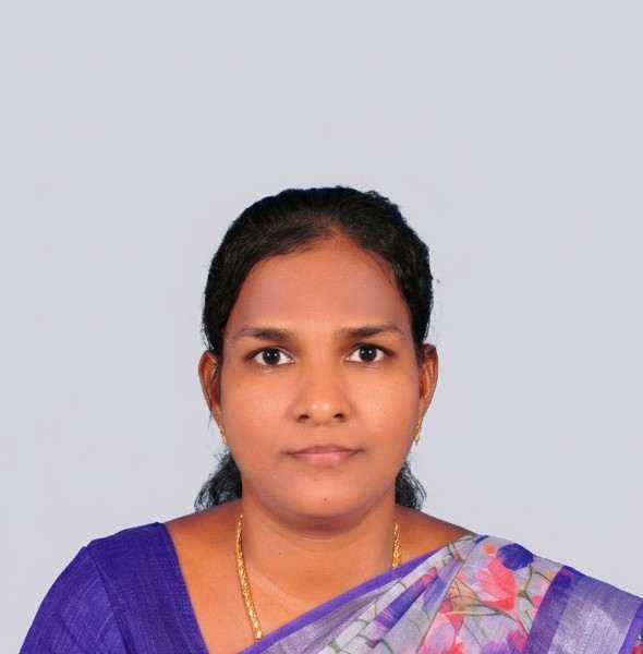 Mr.Anandhi V